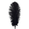 Щекоталка со страусиным пером  Art of Sex - Feather Tickler, цвет Черный || 