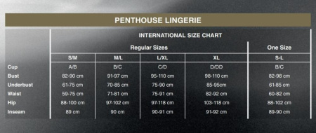 Трусики-стринги Penthouse Classified L/XL Black, двойные резиночки, непрозрачная вставка и бантик || 