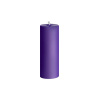 Фиолетовая свеча восковая Art of Sex низкотемпературная S 10 см || 