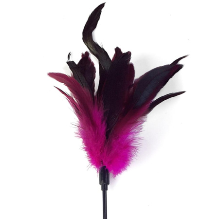 Щекоталка темно-розовый Art of Sex - Feather Paddle, перо молодого петуха || 