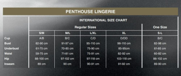 Приталенная сорочка-сетка со стрингами Penthouse - All Yours Black M/L