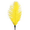 Щекоталка со страусиным пером Art of Sex - Feather Tickler, цвет Желтый || 