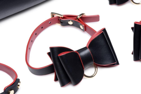 Набор для BDSM Master Series Bow - Luxury BDSM Set With Travel Bag || 