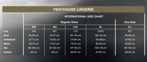 Боди Penthouse Enjoy The Moment XL Black, крупная сетка, плотная вставка под грудью